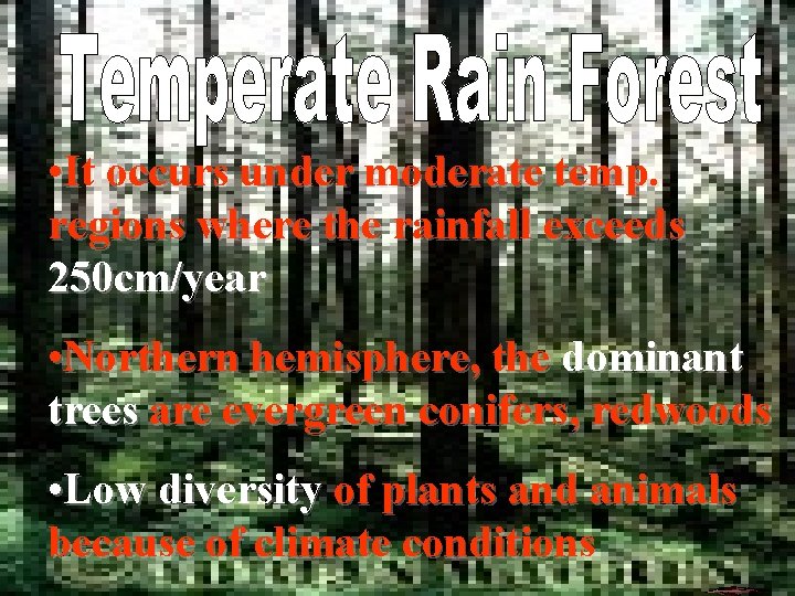  • It occurs under moderate temp. regions where the rainfall exceeds 250 cm/year