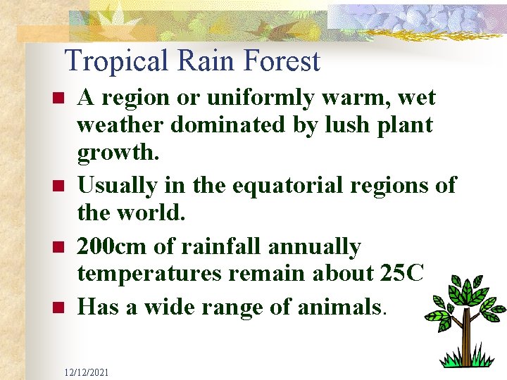 Tropical Rain Forest n n A region or uniformly warm, wet weather dominated by