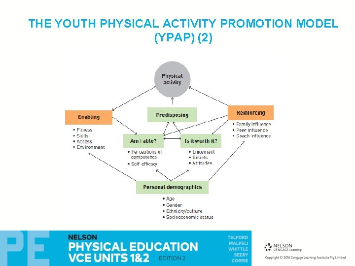 THE YOUTH PHYSICAL ACTIVITY PROMOTION MODEL (YPAP) (2) 