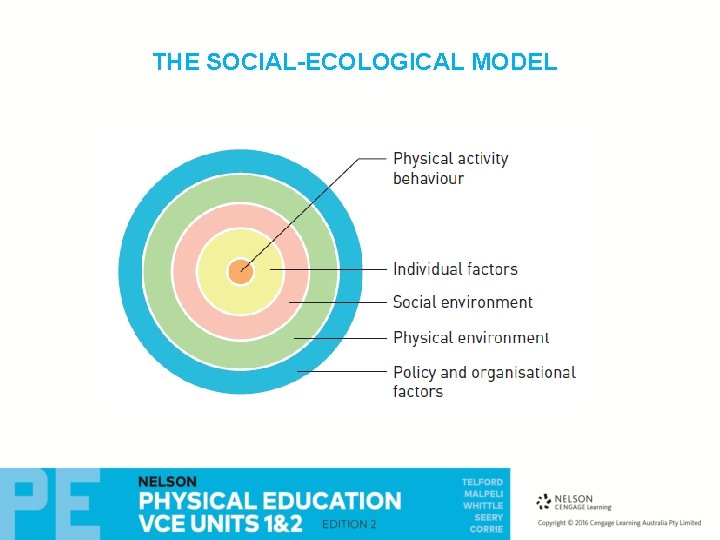 THE SOCIAL-ECOLOGICAL MODEL 