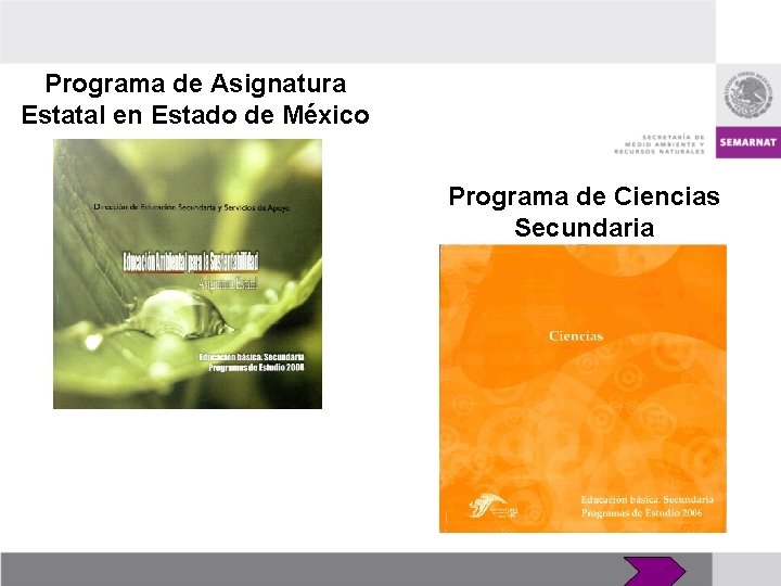 Inclusin de la dimensin ambiental en la educacin