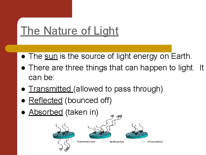 The Nature of Light l l l The sun is the source of light