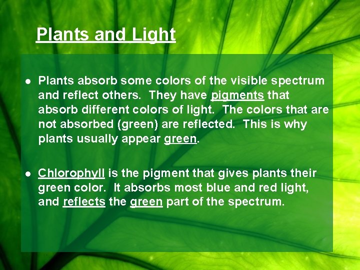 Plants and Light l Plants absorb some colors of the visible spectrum and reflect