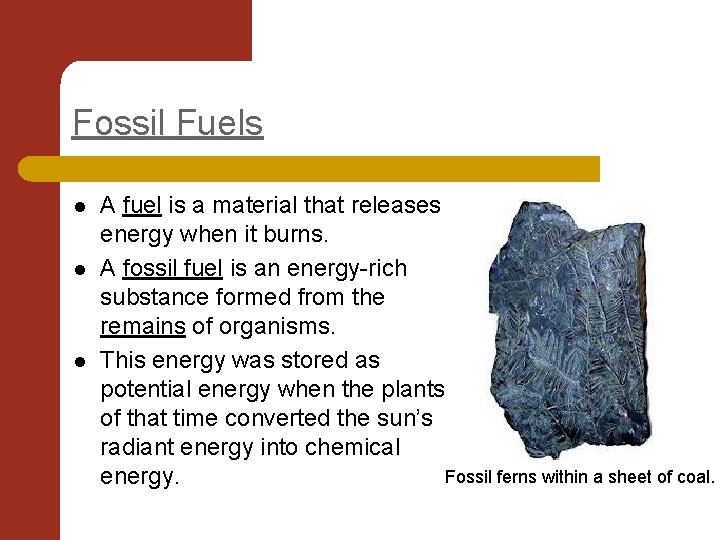 Fossil Fuels l l l A fuel is a material that releases energy when