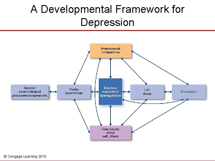 A Developmental Framework for Depression © Cengage Learning 2016 