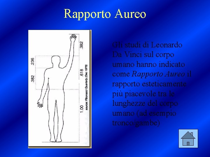 Rapporto Aureo Gli studi di Leonardo Da Vinci sul corpo umano hanno indicato come