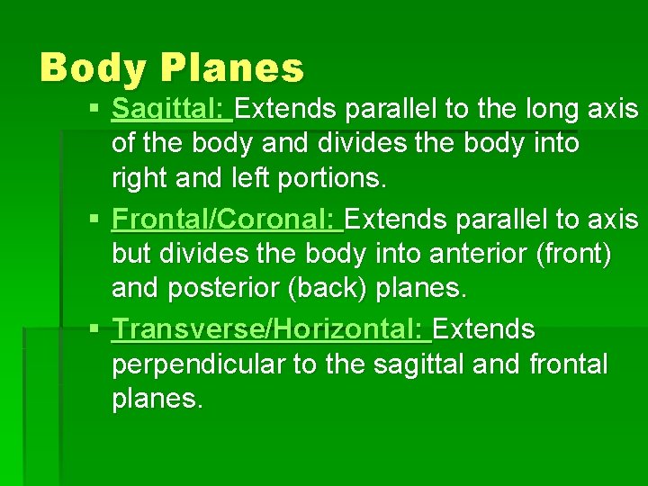 Body Planes § Sagittal: Extends parallel to the long axis of the body and