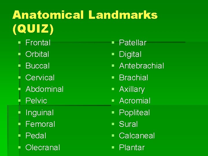 Anatomical Landmarks (QUIZ) § § § § § Frontal Orbital Buccal Cervical Abdominal Pelvic