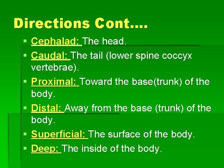 Directions Cont…. § Cephalad: The head. § Caudal: The tail (lower spine coccyx vertebrae).