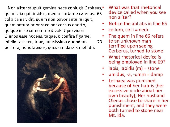 Non aliter stupuit gemina nece coniugis Orpheus, • quam tria qui timidus, medio portante