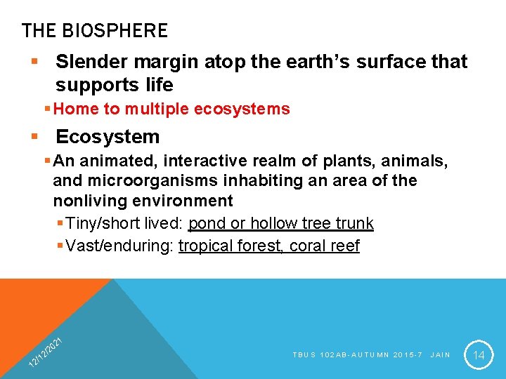 THE BIOSPHERE § Slender margin atop the earth’s surface that supports life § Home