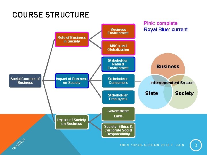 COURSE STRUCTURE Business Environment Pink: complete Royal Blue: current Role of Business in Society