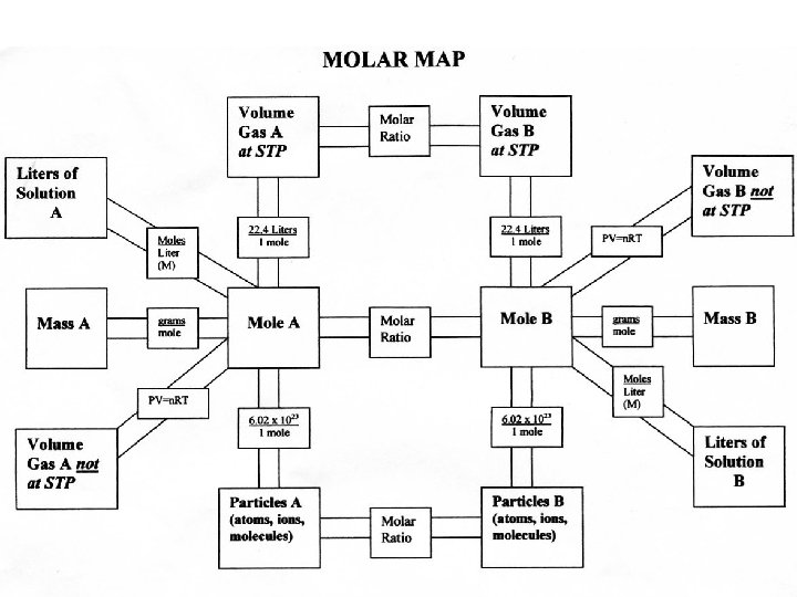 Mole Map 