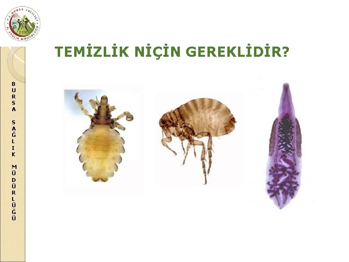 TEMİZLİK NİÇİN GEREKLİDİR? B U R S A Ğ L I K M Ü