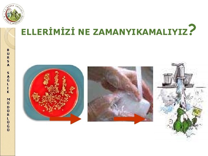 ELLERİMİZİ NE ZAMANYIKAMALIYIZ B U R S A Ğ L I K M Ü