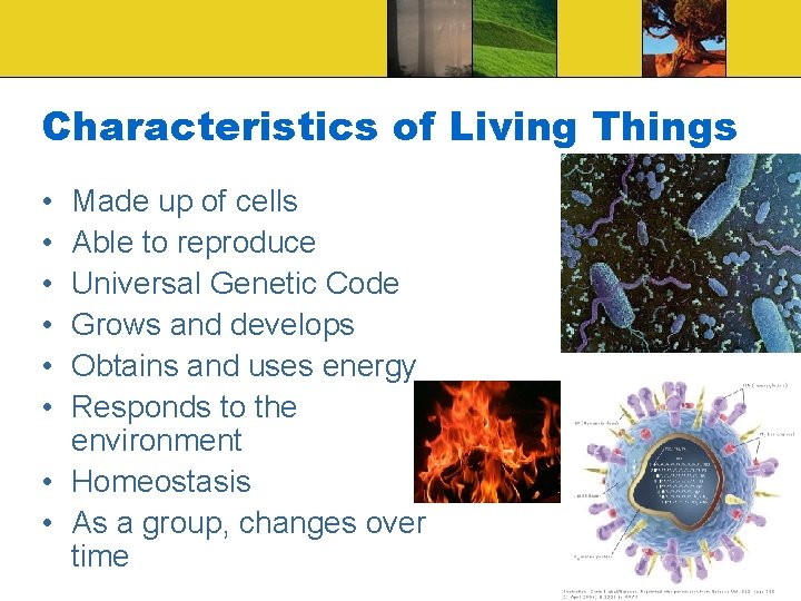 Characteristics of Living Things • • • Made up of cells Able to reproduce Characteristics of Living Things • • • Made up of cells Able to reproduce