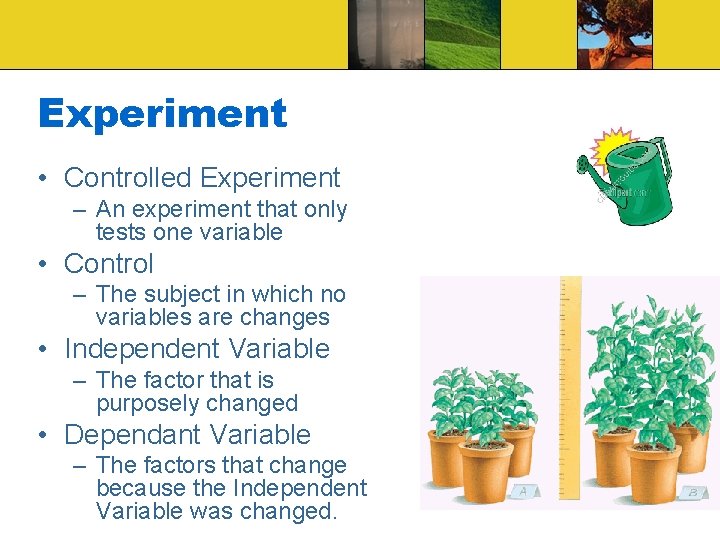 Experiment • Controlled Experiment – An experiment that only tests one variable • Control Experiment • Controlled Experiment – An experiment that only tests one variable • Control