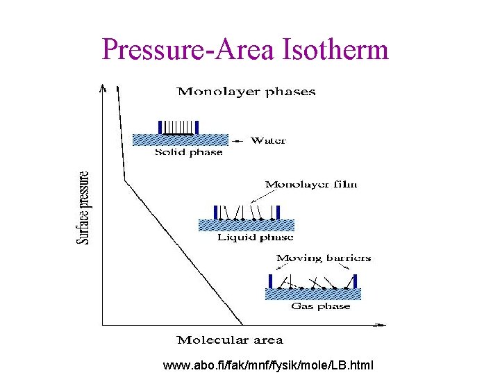 Pressure-Area Isotherm www. abo. fi/fak/mnf/fysik/mole/LB. html 