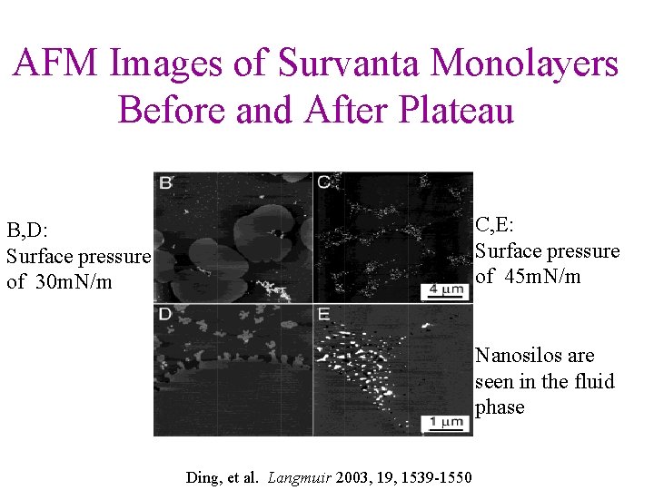 AFM Images of Survanta Monolayers Before and After Plateau C, E: Surface pressure of