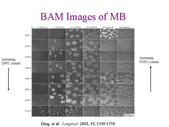 BAM Images of MB Increasing POPG content Increasing DPPC content Ding, et al. Langmuir