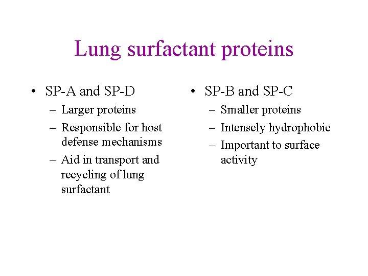 Lung surfactant proteins • SP-A and SP-D – Larger proteins – Responsible for host