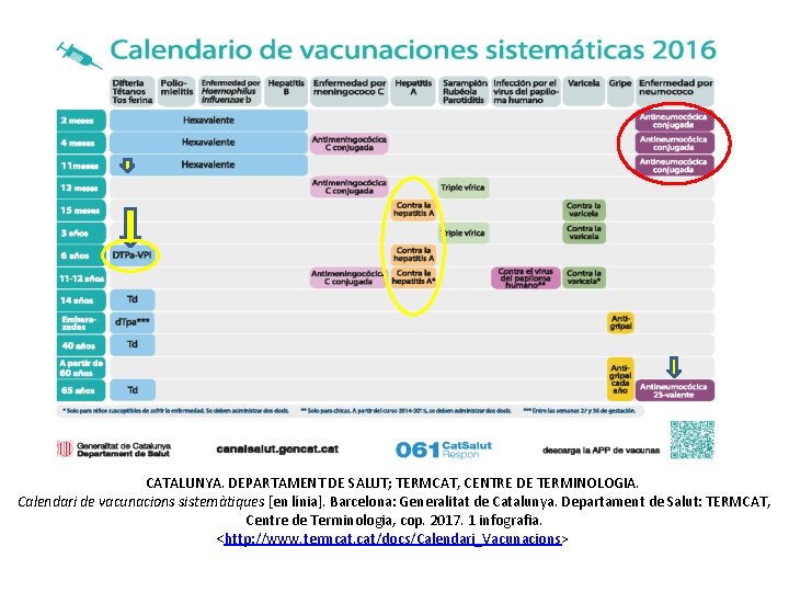 CATALUNYA. DEPARTAMENT DE SALUT; TERMCAT, CENTRE DE TERMINOLOGIA. Calendari de vacunacions sistemàtiques [en línia].