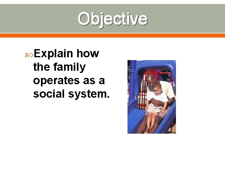 Objective Explain how the family operates as a social system. 