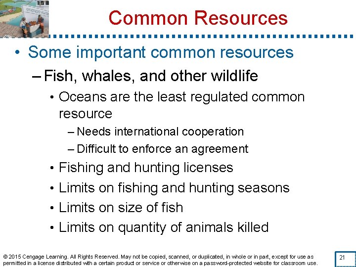 Common Resources • Some important common resources – Fish, whales, and other wildlife •