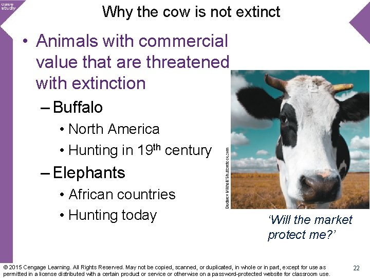 Why the cow is not extinct • Animals with commercial value that are threatened