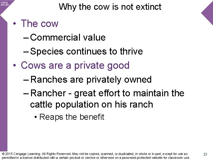 Why the cow is not extinct • The cow – Commercial value – Species