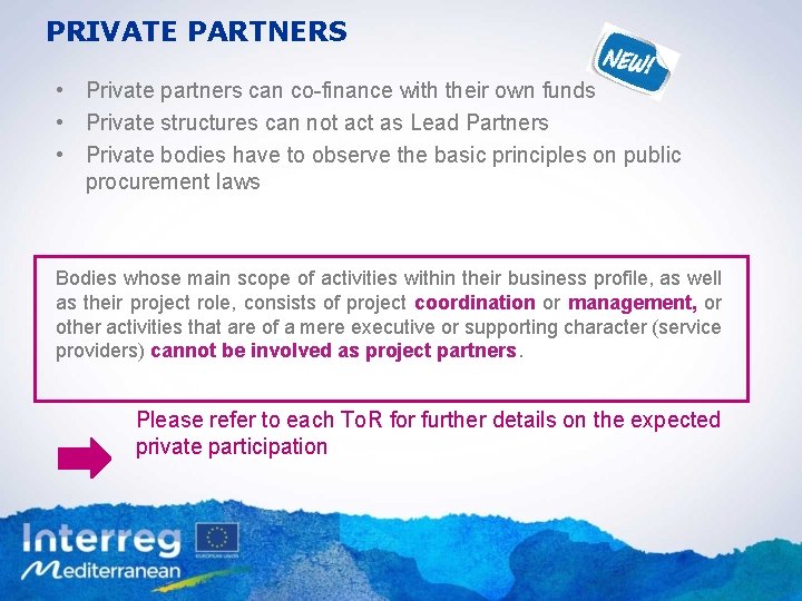 PRIVATE PARTNERS • Private partners can co-finance with their own funds • Private structures