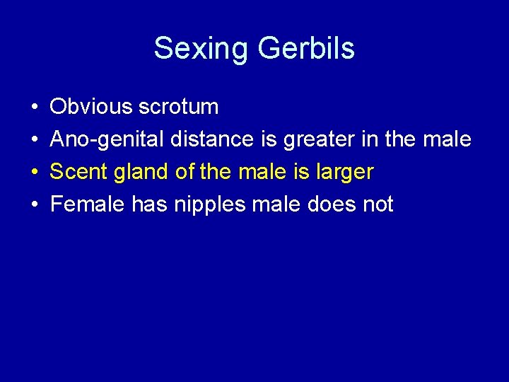 Sexing Gerbils • • Obvious scrotum Ano-genital distance is greater in the male Scent