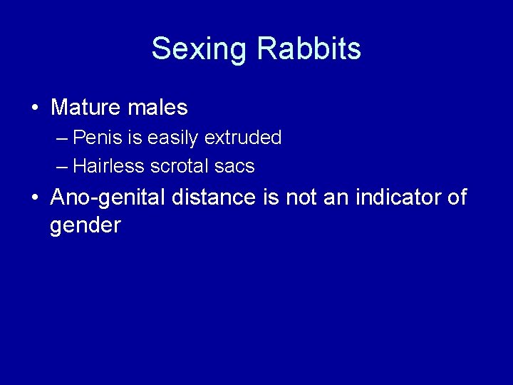 Sexing Rabbits • Mature males – Penis is easily extruded – Hairless scrotal sacs