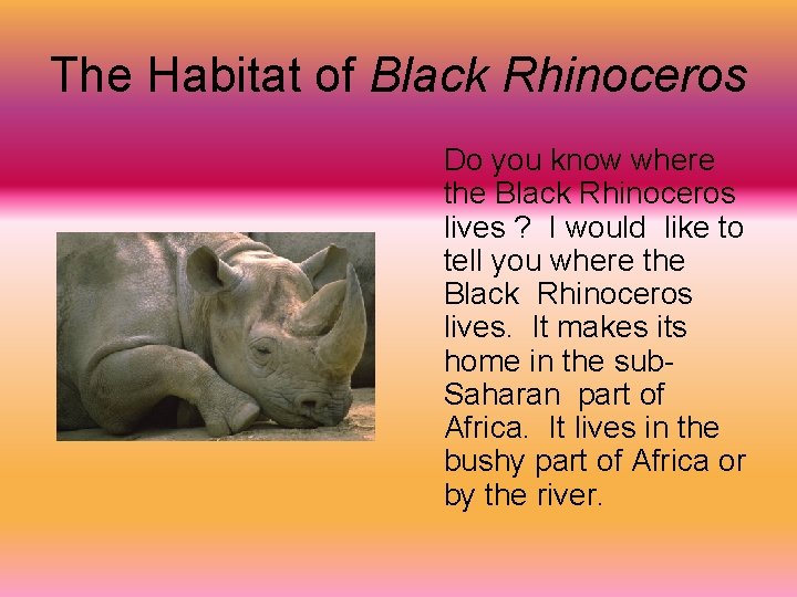 The Habitat of Black Rhinoceros Do you know where the Black Rhinoceros lives ?