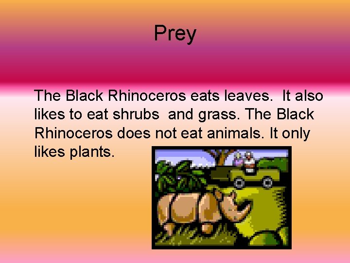 Prey The Black Rhinoceros eats leaves. It also likes to eat shrubs and grass.