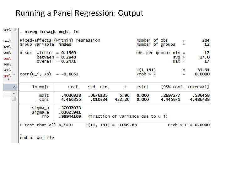Running a Panel Regression: Output 