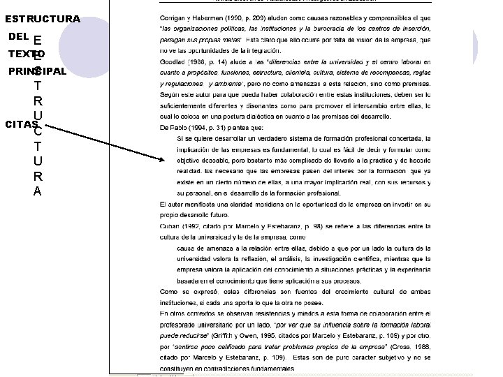 ESTRUCTURA DEL E TEXTO E PRINCIPAL S T R U CITAS C T U