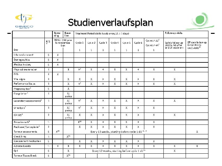 Studienverlaufsplan 