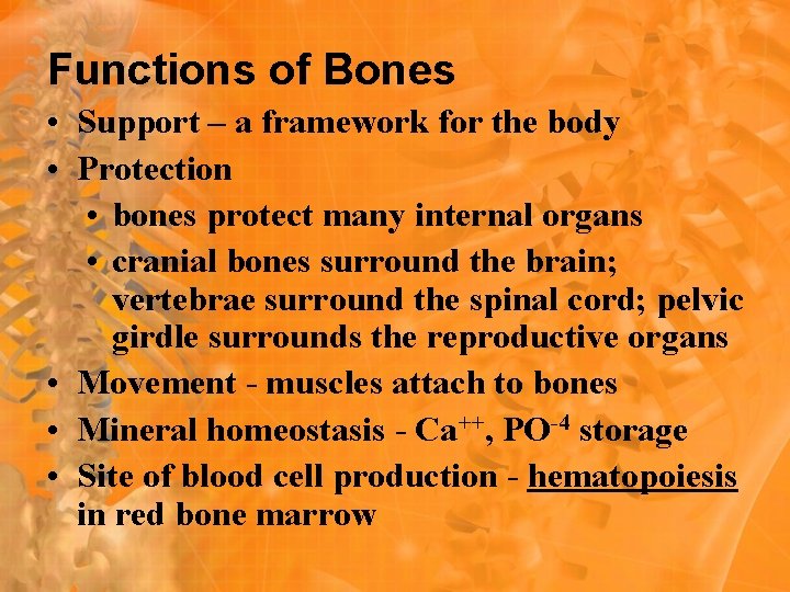 Functions of Bones • Support – a framework for the body • Protection • Functions of Bones • Support – a framework for the body • Protection •