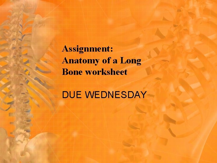 Assignment: Anatomy of a Long Bone worksheet DUE WEDNESDAY Assignment: Anatomy of a Long Bone worksheet DUE WEDNESDAY