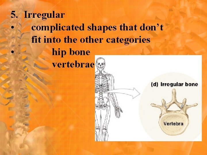 5. Irregular • complicated shapes that don’t fit into the other categories • hip 5. Irregular • complicated shapes that don’t fit into the other categories • hip