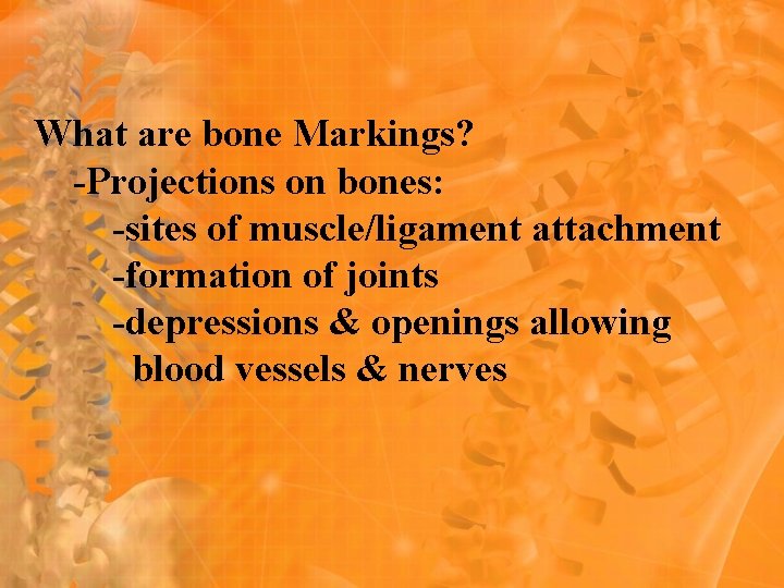 What are bone Markings? -Projections on bones: -sites of muscle/ligament attachment -formation of joints What are bone Markings? -Projections on bones: -sites of muscle/ligament attachment -formation of joints