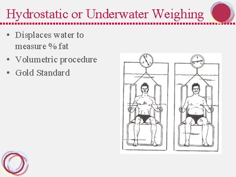 Hydrostatic or Underwater Weighing • Displaces water to measure % fat • Volumetric procedure