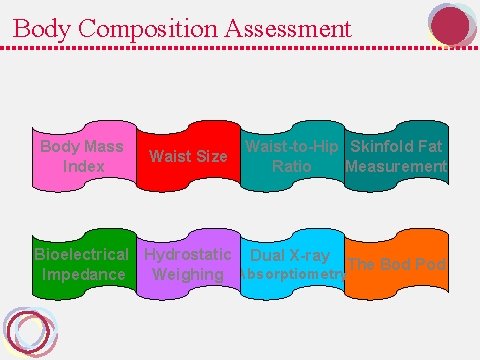 Body Composition Assessment Body Mass Index Waist Size Waist-to-Hip Skinfold Fat Ratio Measurement Bioelectrical