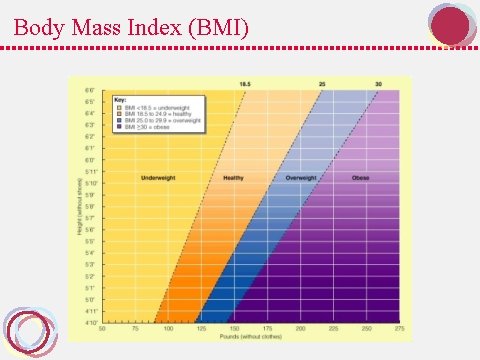 Body Mass Index (BMI) 