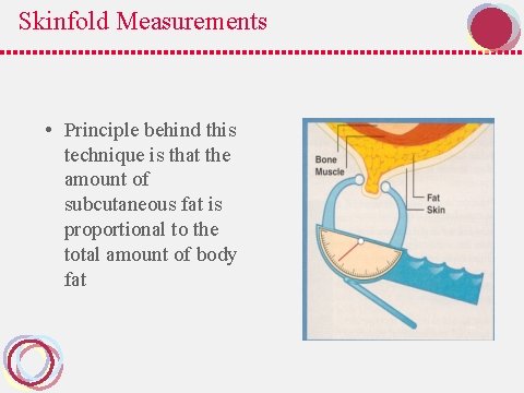 Skinfold Measurements • Principle behind this technique is that the amount of subcutaneous fat