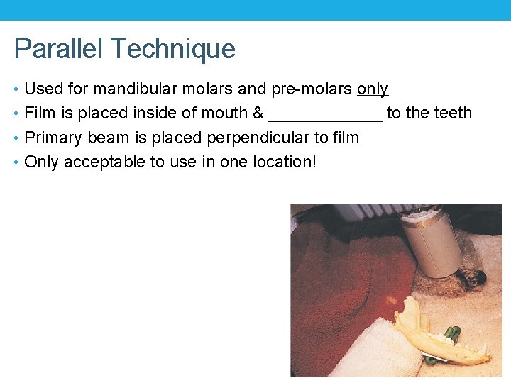 Parallel Technique • Used for mandibular molars and pre-molars only • Film is placed Parallel Technique • Used for mandibular molars and pre-molars only • Film is placed