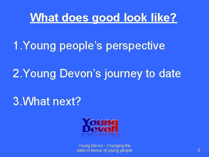 What does good look like? 1. Young people’s perspective 2. Young Devon’s journey to