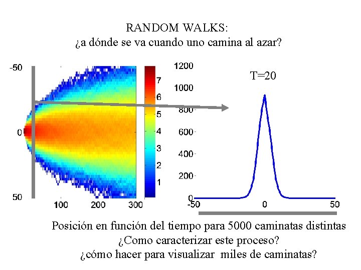 RANDOM WALKS: ¿a dónde se va cuando uno camina al azar? T=20 Posición en