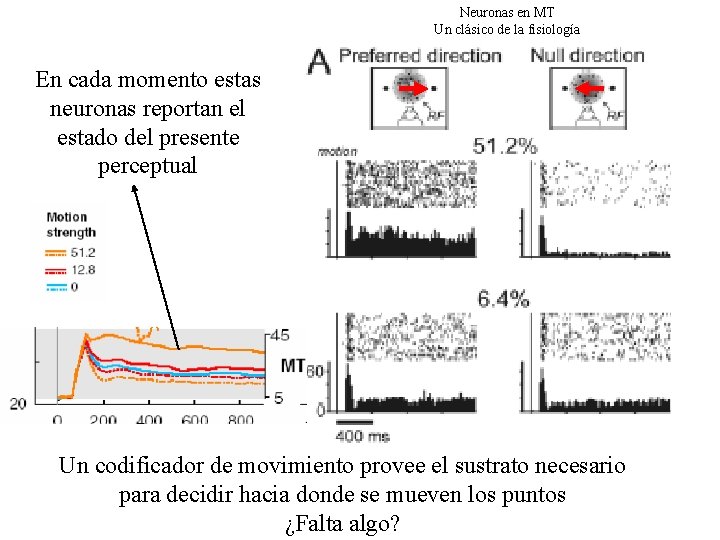 Neuronas en MT Un clásico de la fisiología En cada momento estas neuronas reportan